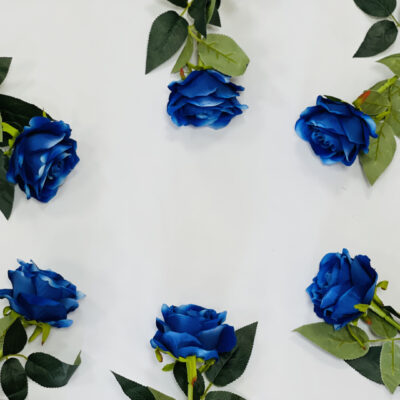 Hoa hồng xanh MIH00001